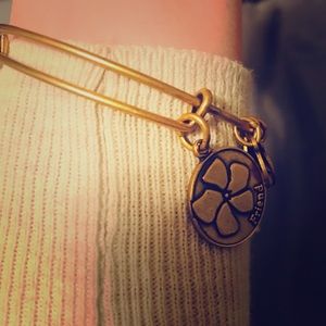 💥 price drop Alex & ani friendship charm bracelet